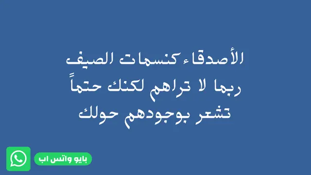 افضل بايو واتس اب للاصدقاء