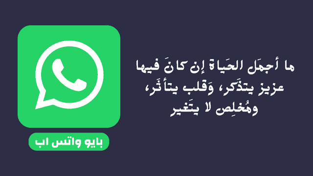 بايو واتس اب